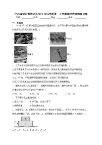 江苏省宿迁市泗阳县2023-2024学年高一上学期期中考试物理试卷(含答案)