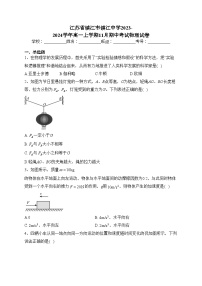 江苏省镇江市镇江中学2023-2024学年高一上学期11月期中考试物理试卷(含答案)