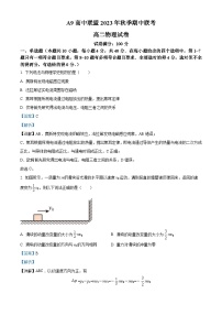 湖北省A9高中联盟2023-2024学年高二上学期期中联考物理试题（Word版附解析）