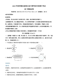 湖北省部分高中联考协作体2023-2024学年高二上学期期中考试物理试卷（Word版附解析）