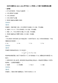 2024届北京市朝阳区高三上学期期中质量检测 物理 解析版