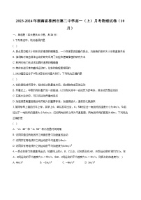 2023-2024年湖南省株洲市第二中学高一（上）月考物理试卷（10月）（含解析）