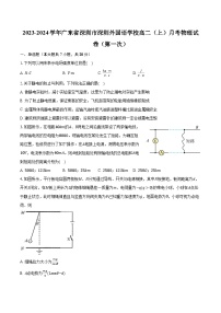 2023-2024学年广东省深圳市深圳外国语学校高二（上）月考物理试卷（第一次）（含解析）