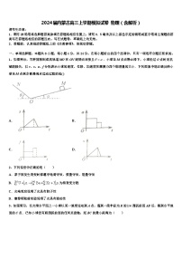2024届内蒙古高三上学期模拟试卷 物理（含解析）