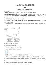 湖南省衡阳市2023-2024学年高三上学期11月联考物理试题（Word版附解析）