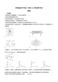 广东省深圳市罗湖高级中学2023-2024学年高二上学期12月阶段性考试物理试卷(无答案)