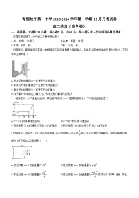 94，宁夏回族自治区吴忠市青铜峡市第一中学2023-2024学年高二上学期12月月考物理试题(无答案)