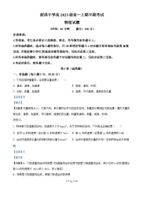 四川省遂宁市射洪中学2023-2024学年高一上学期11月期中考试物理试题（Word版附解析）