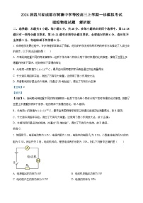 2024届四川省成都市树德中学等校高三上学期一诊模拟考试理综物理试题  解析版