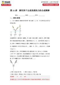 第11讲  探究两个互成角度的力的合成规律（练习）（解析版）——备战2024年高考物理一轮复习全面攻略—高中物理