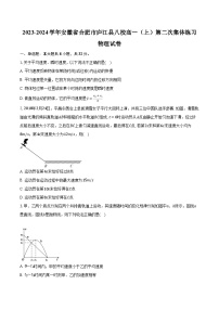 2023-2024学年安徽省合肥市庐江县八校高一（上）第二次集体练习物理试卷（含解析）