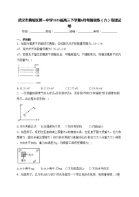 武汉市黄陂区第一中学2023届高三下学期6月考前训练（六）物理试卷(含答案)