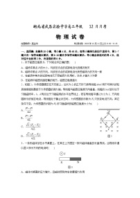 37，湖北省武汉市武昌实验中学2023-2024学年高二上学期12月月考物理试卷