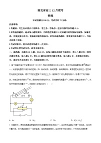 2024湖北省部分学校高三上学期12月月考物理试卷含解析