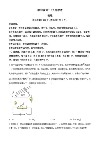 2024湖北省部分学校高三上学期12月月考物理试卷含解析