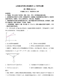 2024山东省新高考联合质量测评高三上学期12月联考物理试题wrod版含答案