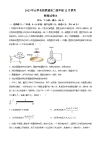 2024湖北省云学名校联盟高二上学期12月联考物理试卷B含解析