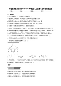 湖北省武昌实验中学2023-2024学年高二上学期12月月考物理试卷(含答案)