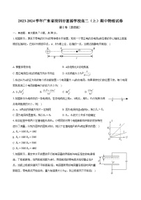 2023-2024学年广东省深圳市富源学校高二（上）期中物理试卷（含解析）