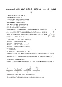 2023-2024学年辽宁省沈阳市重点高中联合体高一（上）期中物理试卷（含解析）