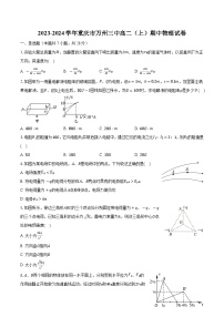 2023-2024学年重庆市万州三中高二（上）期中物理试卷（含解析）