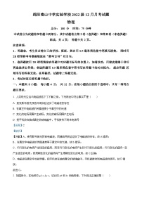 四川省绵阳市南山中学实验学校2023-2024学年高二上学期12月月考物理试题（Word版附解析）