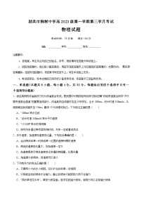 四川省遂宁市射洪市柳树中学2023-2024学年高一上学期第三学月考试物理试卷（Word版附解析）