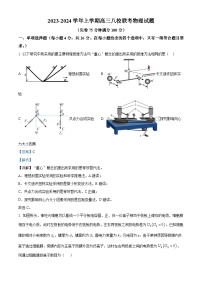 福建省福州市第一中学等八校2023-2024学年高三上学期模拟考试物理联考试题（Word版附解析）