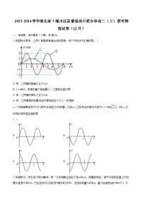 2023-2024学年湖北省十堰市区县普通高中联合体高二（上）联考物理试卷（12月）（含解析）