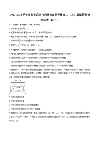 2023-2024学年湖北省武汉市问津教育联合体高二（上）质量检测物理试卷（12月）（含解析）