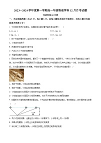 2024北京理工大学附中高一上学期12月月考试题物理含解析