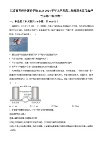 2023-2024学年江苏省苏州外国语学校高二上学期期末复习测试物理试题