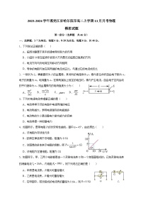 2023-2024学年黑龙江省哈尔滨市高二上册11月月考物理测试卷（附答案）