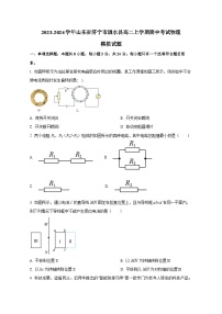 2023-2024学年山东省济宁市泗水县高二上册期中考试物理测试卷（含解析）