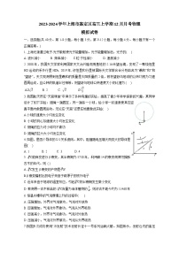 2023-2024学年上海市嘉定区高三上册12月月考物理测试卷（附答案）