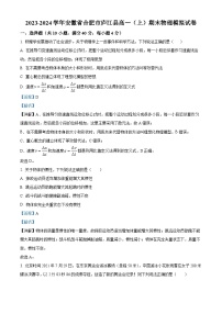 安徽省合肥市庐江县普通高中2023-2024学年高一上学期期末物理模拟试卷（Word版附解析）