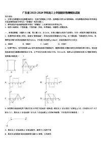 广东省2023-2024学年高三上学期期末物理模拟试题