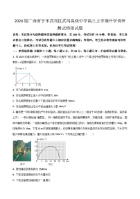 2024届广西南宁市武鸣区武鸣高级中学高三上学期开学调研测试物理试题（Word版）