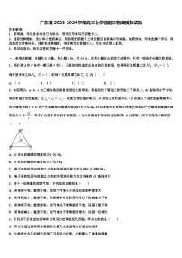 广东省2023-2024学年高三上学期期末物理模拟试题