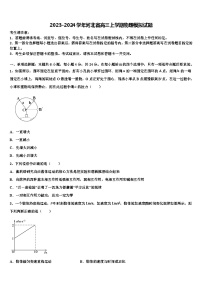 2023-2024学年河北省高三上学期期末物理模拟试卷