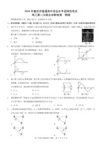 2024重庆市普通高等学校招生高三第一次联合诊断检测（康德卷）物理试题