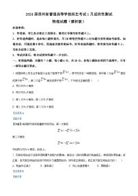 2024届贵州省普通高等学校招生考试1月适应性测试物理试题（解析版）