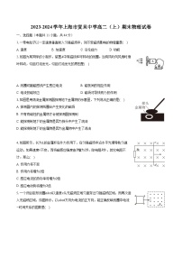 2023-2024学年上海市复旦中学高二（上）期末物理试卷（含解析）