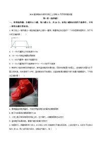 2024届海南省洋浦中学高三上学期11月月考物理试题（Word版）