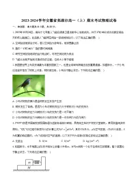 2023-2024学年安徽省芜湖市高一（上）期末考试物理试卷（含解析）