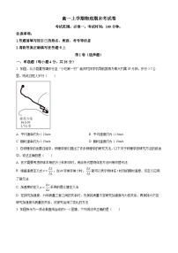 2023-2024学年河北省邯郸市魏县高一上学期1月期末物理试题