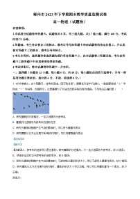 2024郴州高一上学期期末物理试题含解析