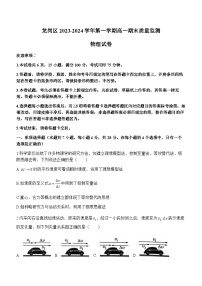 93，广东省深圳市龙岗区2023-2024学年高一上学期1月期末考试物理试题(无答案)