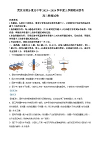 湖北省武汉市部分重点中学2023-2024学年高二上学期期末联考物理试卷（Word版附解析）