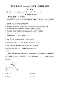 贵州省黔东南自治州镇远中学2020-2021学年高二（上）期末物理试题